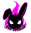 Bad Bunnies soccer club